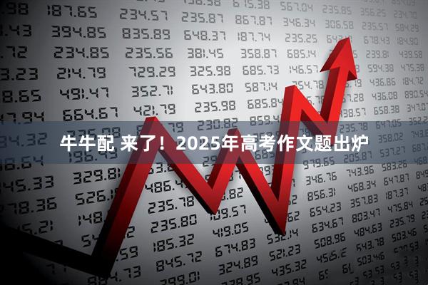 牛牛配 来了！2025年高考作文题出炉