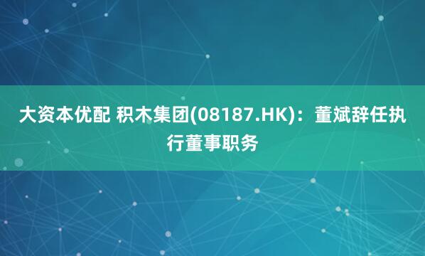 大资本优配 积木集团(08187.HK)：董斌辞任执行董事职务