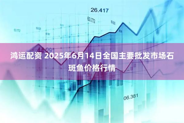 鸿运配资 2025年6月14日全国主要批发市场石斑鱼价格行情