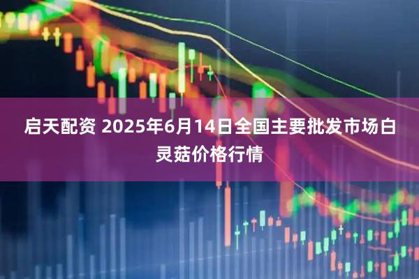 启天配资 2025年6月14日全国主要批发市场白灵菇价格行情