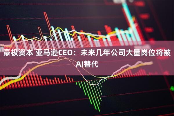 豪极资本 亚马逊CEO：未来几年公司大量岗位将被AI替代