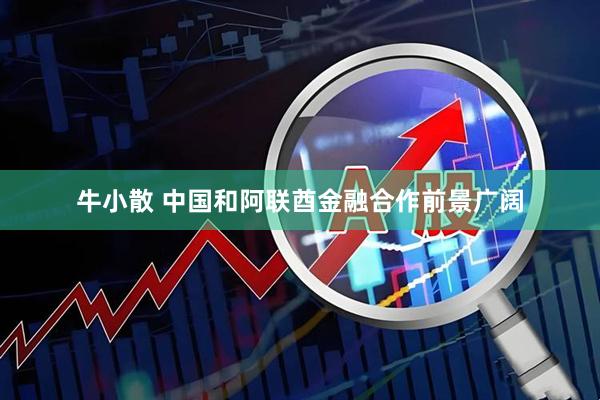牛小散 中国和阿联酋金融合作前景广阔